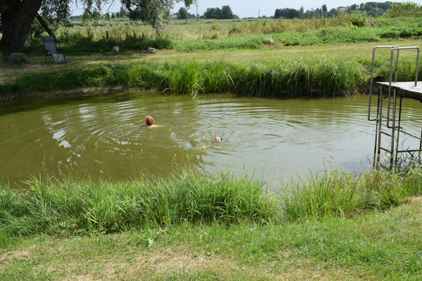 Vasaras nometne sievietēm "Dieviete Tevī 2026"
