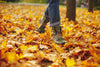 Meiteņu RUDENS piedzīvojums 2026