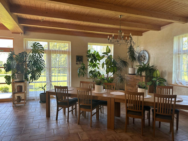 Pavasara retrīts / nometne ReSTARTS labsajūtai 2026